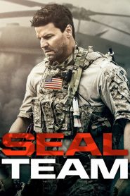 SEAL Team pobierz